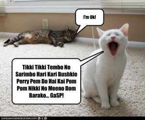 cat and tikki tikki