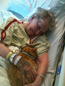 Photo credit: David McElroy Cat comforts dying woman